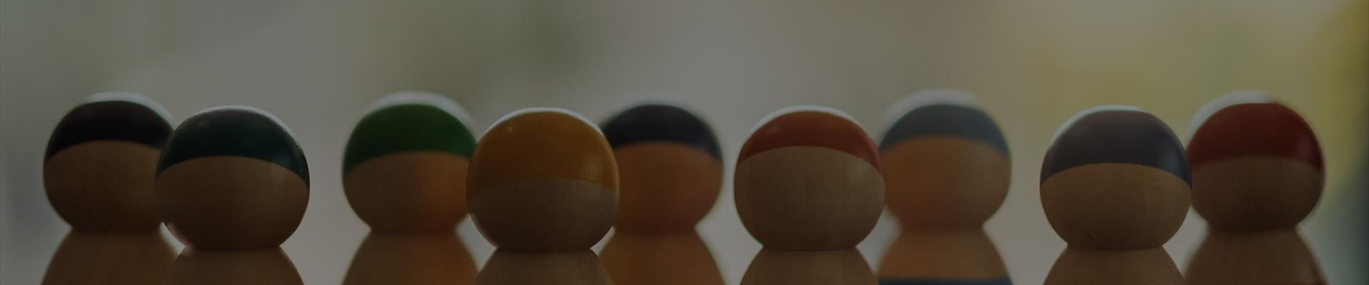 Shanghai Dengsheng Co Déantúsaíochta Ionstraim, Ltd.