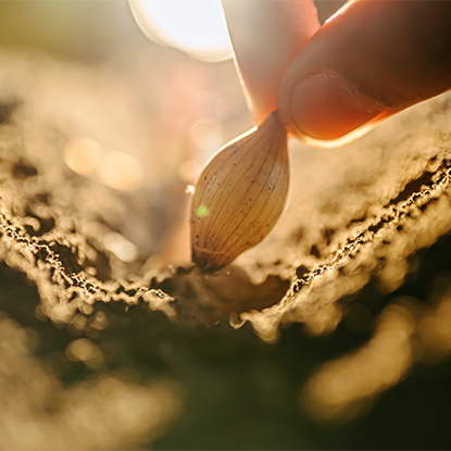 Talmhaíocht agus Foraoiseacht